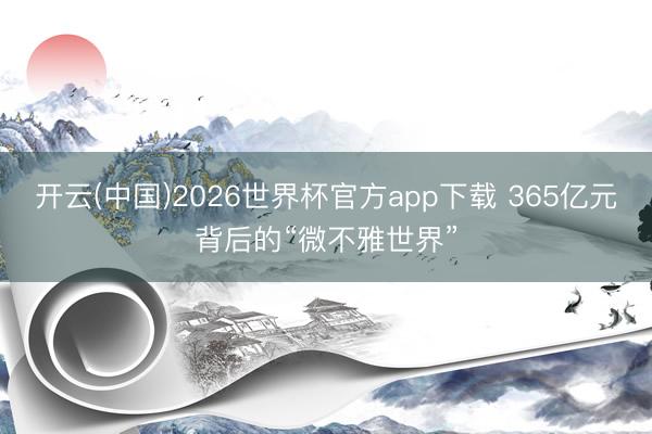 开云(中国)2026世界杯官方app下载 365亿元背后的“微不雅世界”