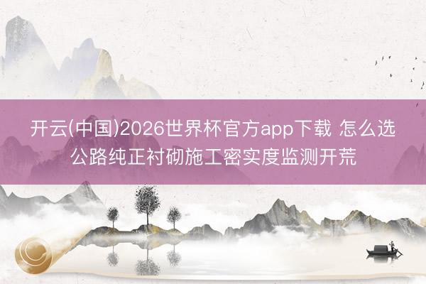 开云(中国)2026世界杯官方app下载 怎么选公路纯正衬砌施工密实度监测开荒
