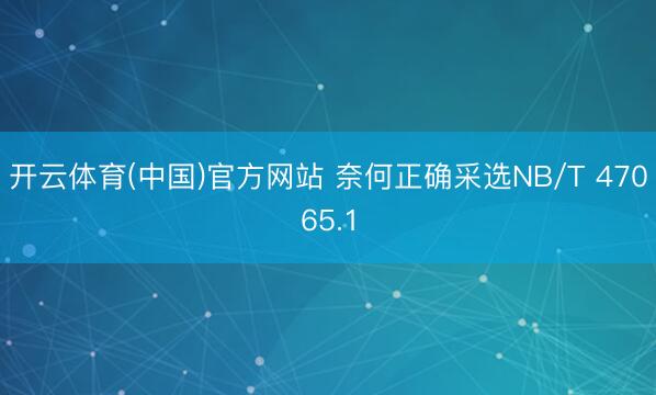 开云体育(中国)官方网站 奈何正确采选NB/T 47065.1
