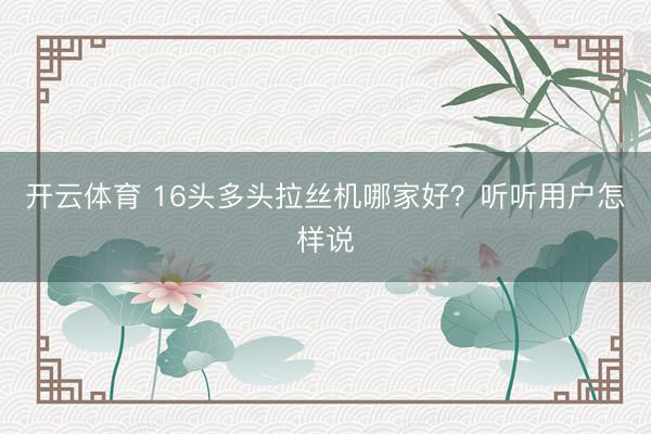 开云体育 16头多头拉丝机哪家好？听听用户怎样说