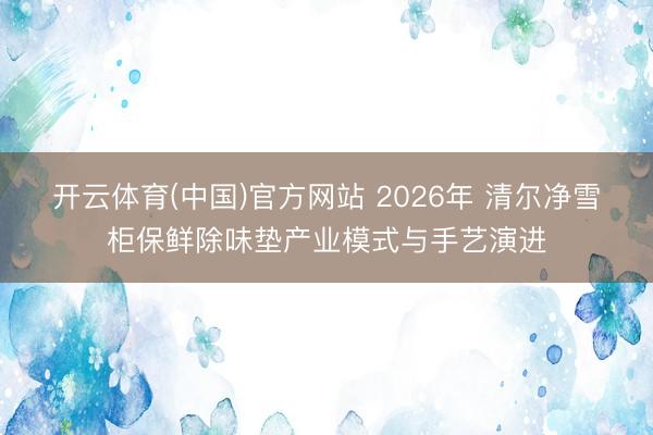 开云体育(中国)官方网站 2026年 清尔净雪柜保鲜除味垫产业模式与手艺演进