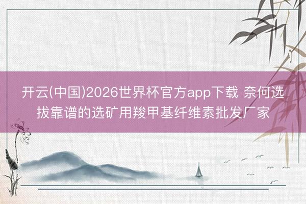 开云(中国)2026世界杯官方app下载 奈何选拔靠谱的选矿用羧甲基纤维素批发厂家