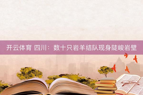 开云体育 四川：数十只岩羊结队现身陡峻岩壁
