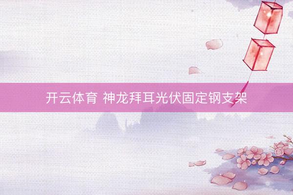 开云体育 神龙拜耳光伏固定钢支架