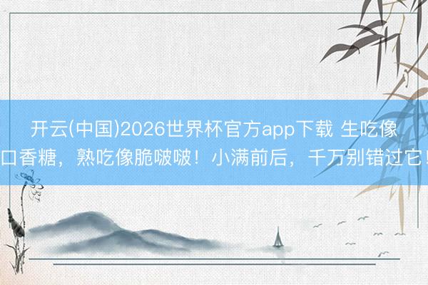开云(中国)2026世界杯官方app下载 生吃像口香糖，熟吃像脆啵啵！小满前后，千万别错过它！