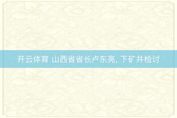 开云体育 山西省省长卢东亮, 下矿井检讨