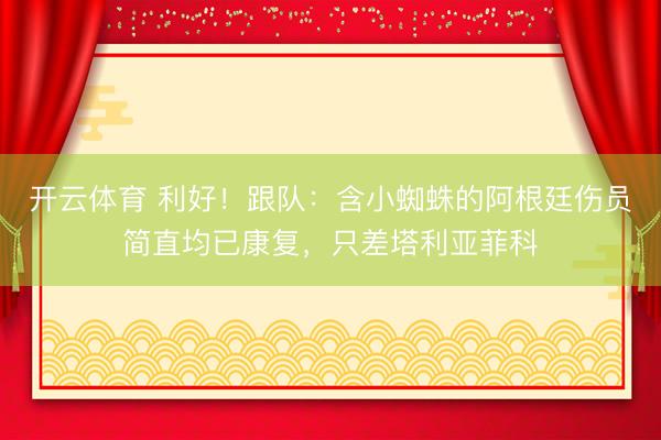 开云体育 利好！跟队：含小蜘蛛的阿根廷伤员简直均已康复，只差塔利亚菲科