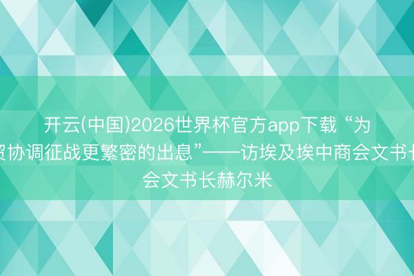 开云(中国)2026世界杯官方app下载 “为非中经贸协调征战更繁密的出息”——访埃及埃中商会文书长赫尔米
