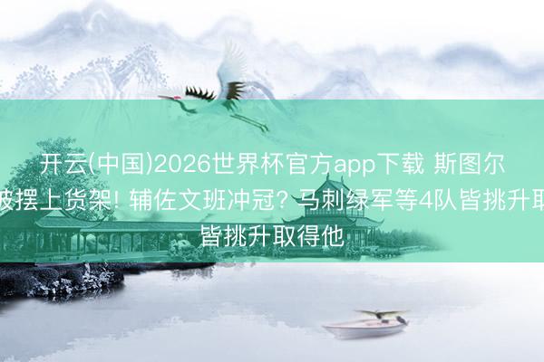 开云(中国)2026世界杯官方app下载 斯图尔特已被摆上货架! 辅佐文班冲冠? 马刺绿军等4队皆挑升取得他